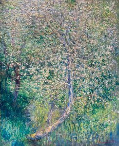 Æbletræer blomstrer i vandkanten af Claude Monet