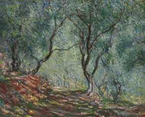 Olivenlund i Moreno-haven, 1884 af Claude Monet