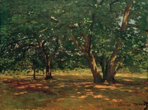 Fontainebleau Skov
