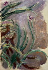 Iris (Iris) af Claude Monet