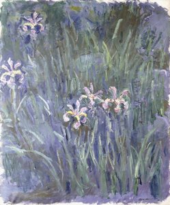 Iris, ca. 1914-1917 af Claude Monet