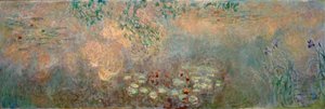 Åkandedammen med iris af Claude Monet