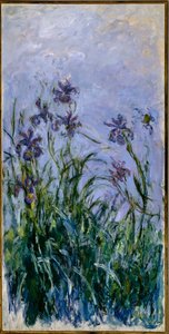 Lilla iris, 1914-17 af Claude Monet