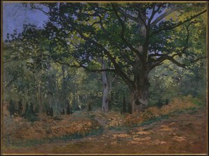 Bodmer Oak, Fontainebleau Forest, 1865 af Claude Monet