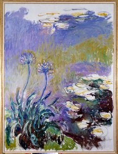 Agapanthus af Claude Monet