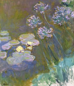 Åkander og Agapanthus af Claude Monet