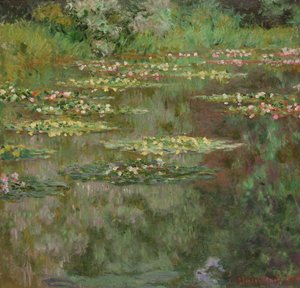 Åkander eller åkandammen (Nymphéas) 1904 (olie på lærred) af Claude Monet