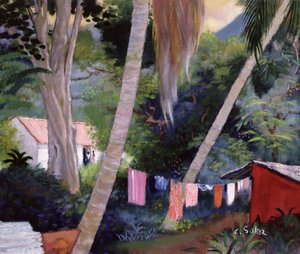 Tørrevask, Guadeloupe