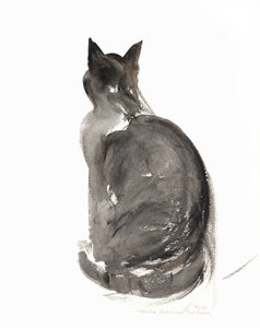 Kat, 1985 (akvarel)