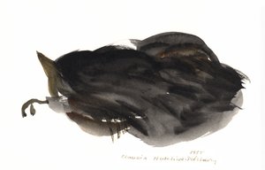 Sleeping Cat, 1985 (akvarel) af Claudia Hutchins Puechavy