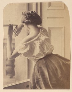 Fotografisk undersøgelse, begyndelsen af 1860