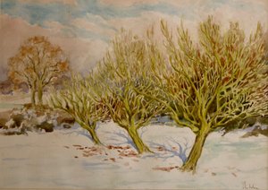 Frugtplantagen, januarsol, 2000 (akvarel) af Clive Wilson