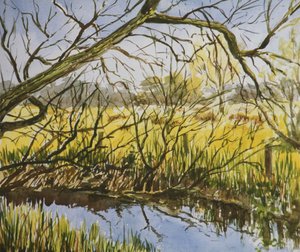 Water Meadows, Kintbury, tidlig eftermiddag i maj af Clive Wilson