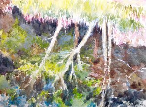 Refleksioner i skoven, Silver Lake, 2017 (akvarel) af Clive Wilson