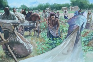 Backbreaking, 2010 af Colin Bootman