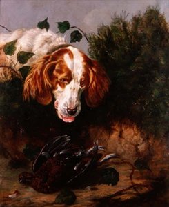 Just Shot - Spaniel med en død rype af Colin Graeme