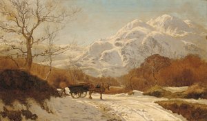Samler træ i et alpelandskab
