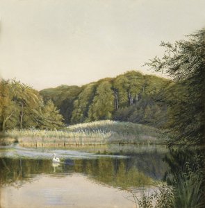 Swans on Paddington Pond, 1860