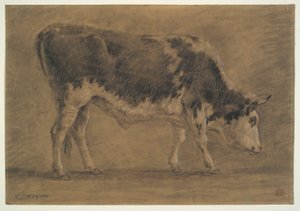 American Ox af Constant Troyon