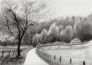 Svinget landevej