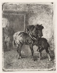 Hest får hestesko i en smedje af Cornelis Albertus Johannes Schermer