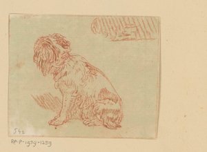 siddende hund af Cornelis Brouwer (possibly)