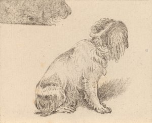 Siddende hund, 1777. af Cornelis Brouwer