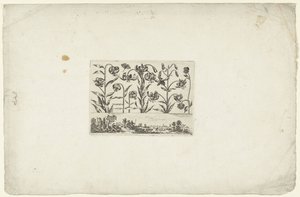 Række af blomster over landskab Blomster og landskaber (serietitel) af Cornelis Danckerts (I)