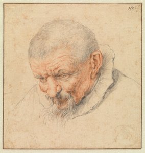 Hovedet af en gammel mand af Cornelis Dusart