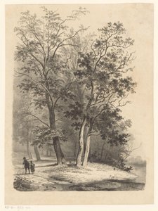 To figurer, der går i en skov