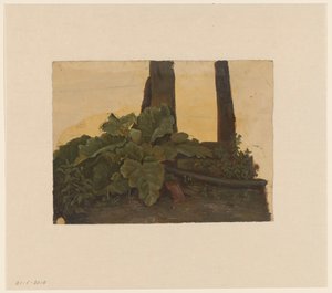 Planter ved foden af ​​en træstamme af Cornelis Johannes de Vogel