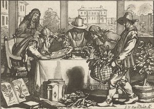 botaniker af Cornelis Ploos van Amstel (signed by artist)