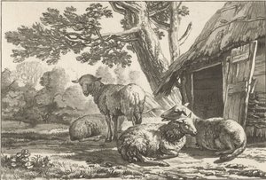 fårefold