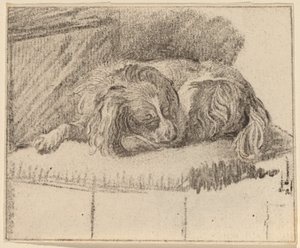 Liggende hund af Cornelis Ploos van Amstel