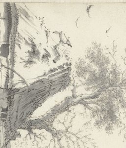 Bondehus ved vandet af Cornelis Saftleven