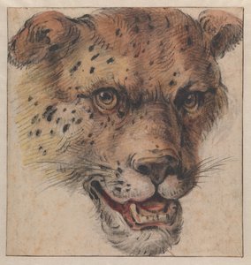  af Cornelis Saftleven