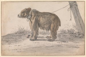  af Cornelis Saftleven