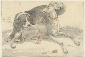 Greyhound og en agerhønehund af Cornelis Saftleven