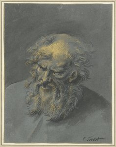 Hovedet på en gammel skægget mand (en apostel eller filosof) af Cornelis Troost