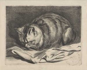lille kat af Cornelis Visscher (II)