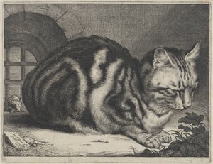 Den store kat