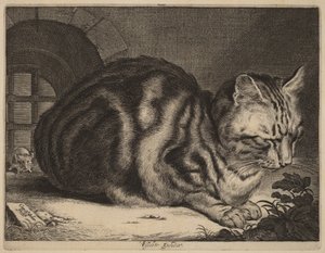 Den store kat
