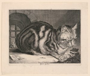 Den store kat af Cornelis Visscher