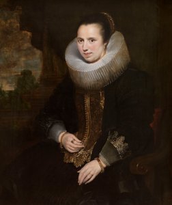  af Cornelis de Vos