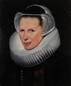  af Cornelis de Vos