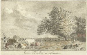 Køer på en eng uden for Haarlem, på Schooten (titel på objekt) af Cornelis van Noorde