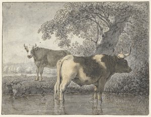 To køer under et træ ved vandet af Cornelis van Noorde