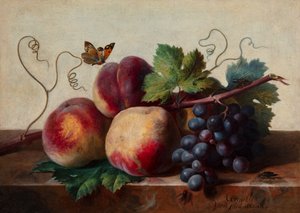 Stilleben med ferskner og druer på et marmorbord med en sommerfugl og andre insekter