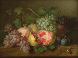 Stilleben af granatæbler, druer og blommer på en marmorkant (panel)