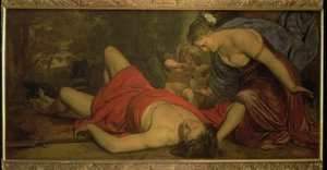 Venus græder over Adonis